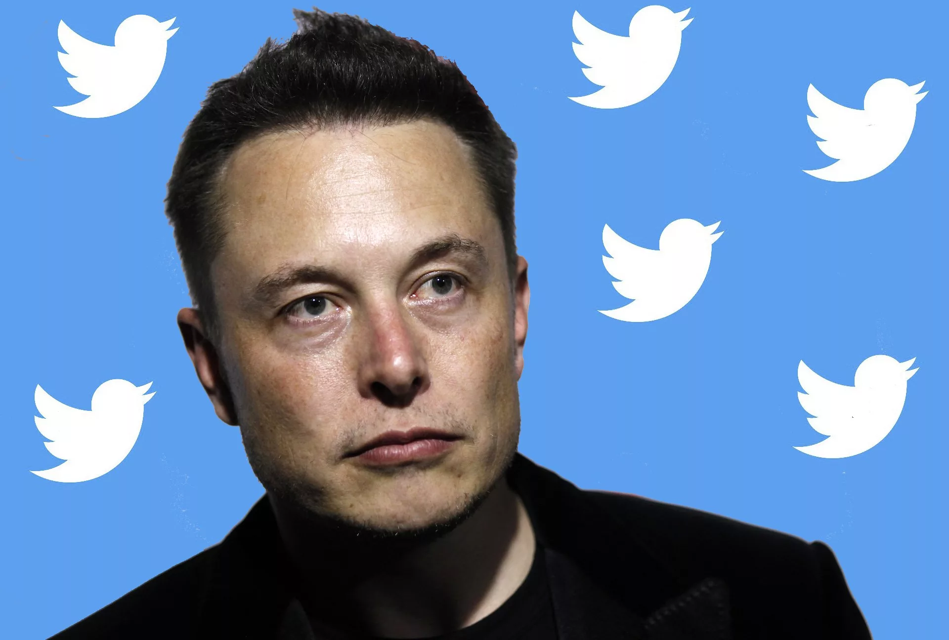 Илон Маск поведал о своих грандиозных планах на Twitter