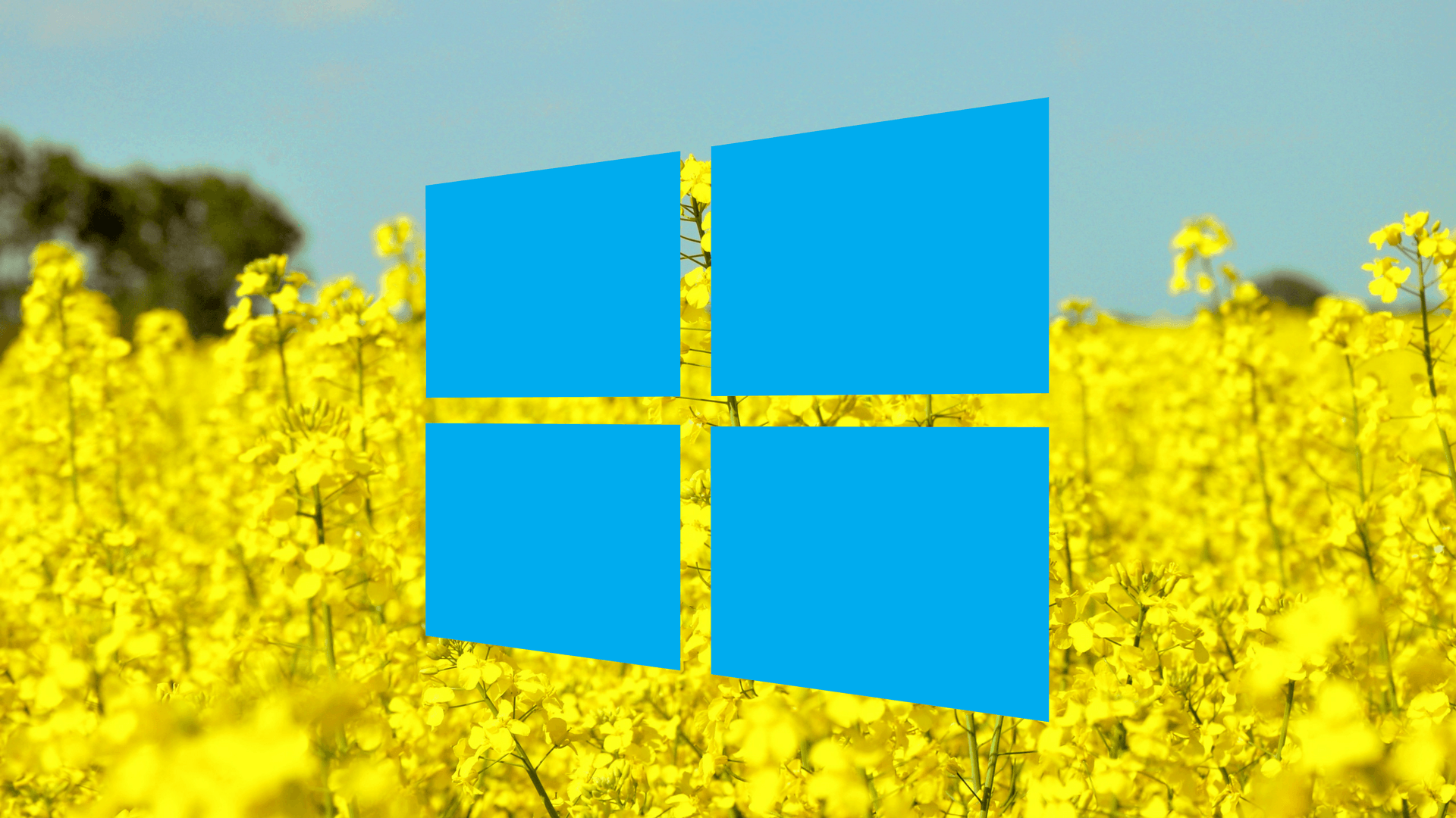 Стандартный калькулятор в Windows 10 будет работать с графиками функций
