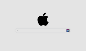 Apple разрабатывает свою поисковую систему