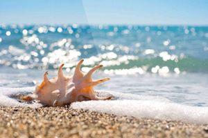 Почему в раковине слышно звук моря