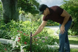 iRobot представил робота-газонокосилку