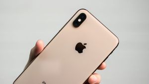 Тим Кук заявил, что в некоторых странах цены на iPhone будут снижены