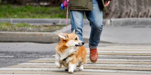 Как получить пропуск для передвижений по Москве?